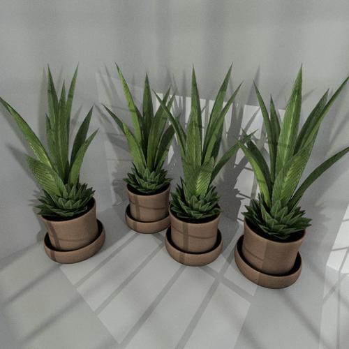  Low-poly indoor plant 3 preview image